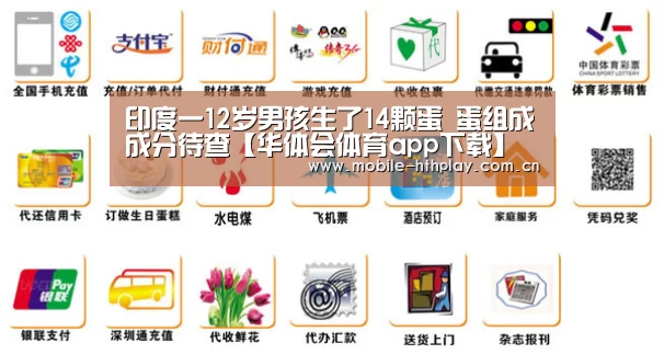 华体会官方网站入口