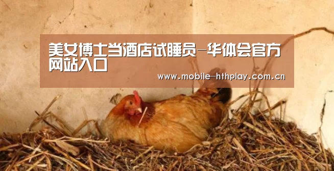 华体会官方网站入口