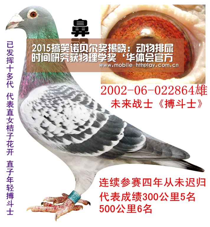 2015搞笑诺贝尔奖揭晓:动物排尿时间研究获物理学奖‘华体会官方平台’(图2) 华体会体育app下载