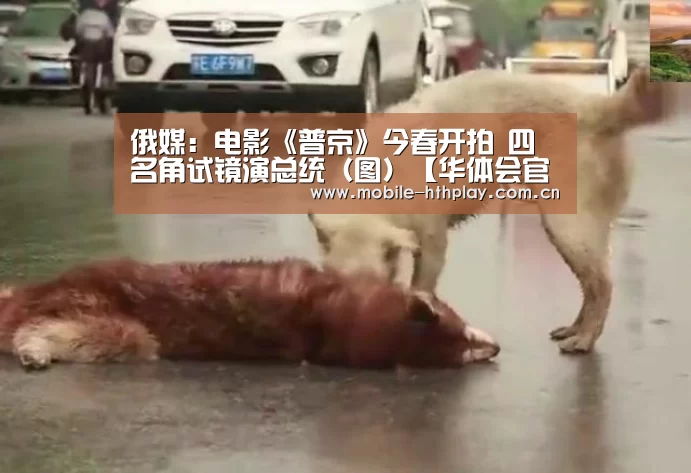 俄媒:电影《普京》今春开拍 四名角试镜演总统(图)【华体会官网下载】(图1) 华体会官方平台