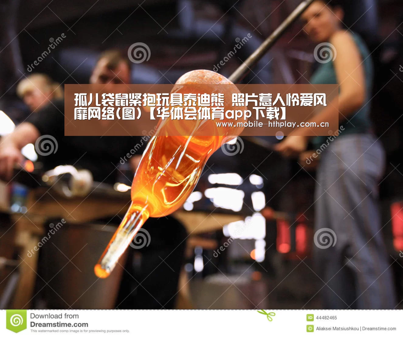 孤儿袋鼠紧抱玩具泰迪熊 照片惹人怜爱风靡网络(图)【华体会体育app下载】(图1) 华体会官方平台